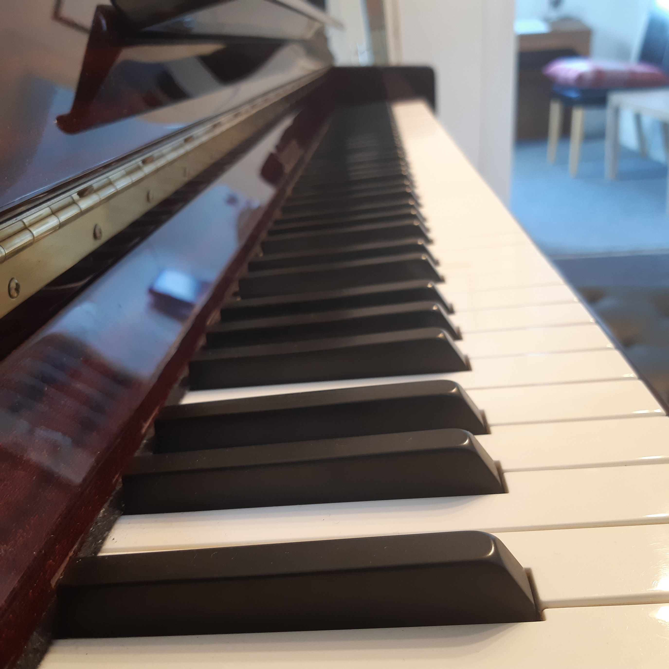 second close up image of the Steinhoven piano keys at the Just Piano tuition studio