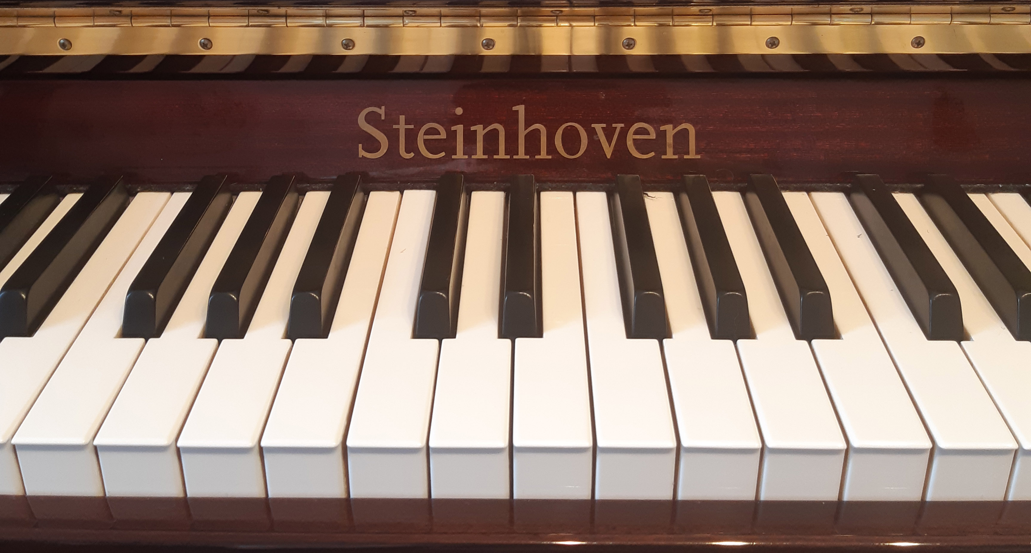 piano keys steinhoven